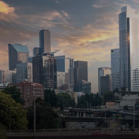 Debt manager expertise 2